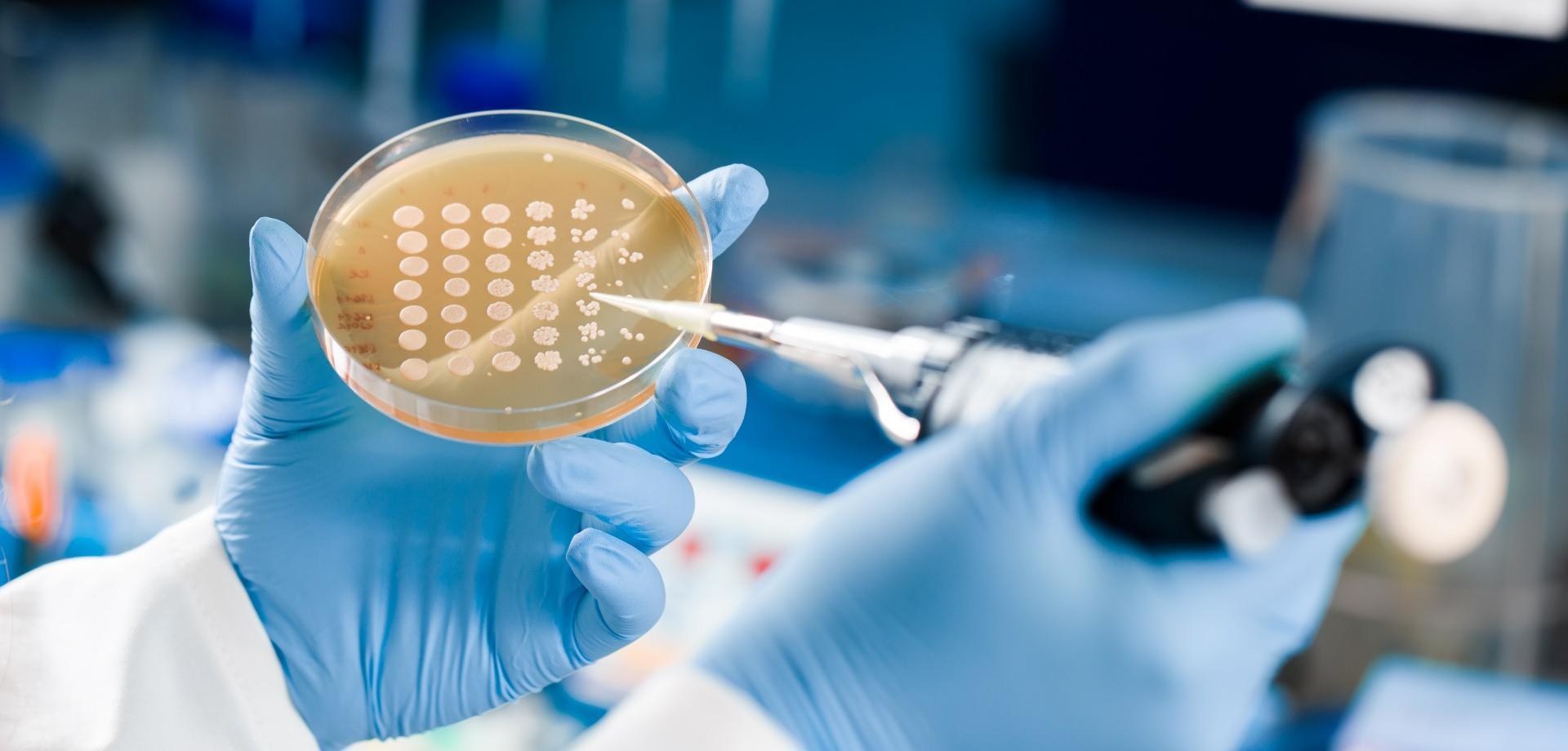 技術(shù)創(chuàng)新，成就未來(lái)